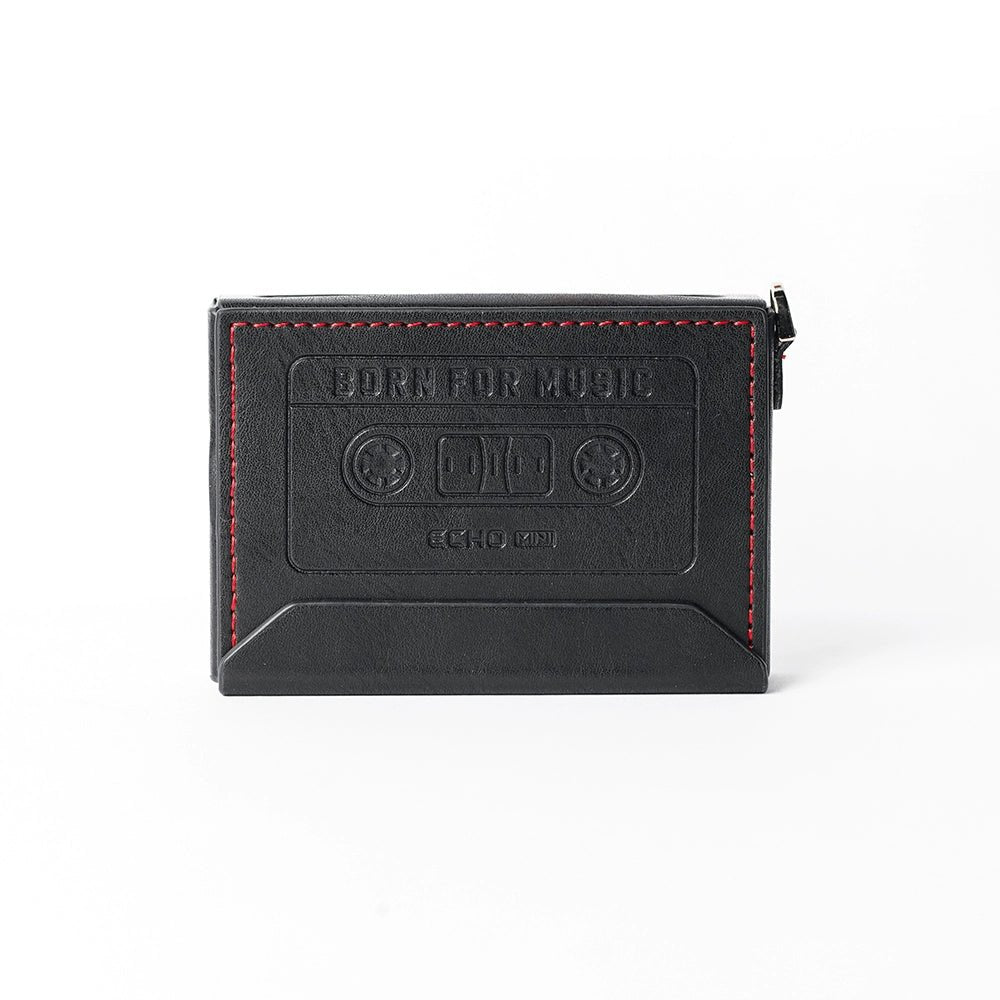 FiiO ECHO MINI Protective Case SK - ECHO MINI - The HiFi Cat