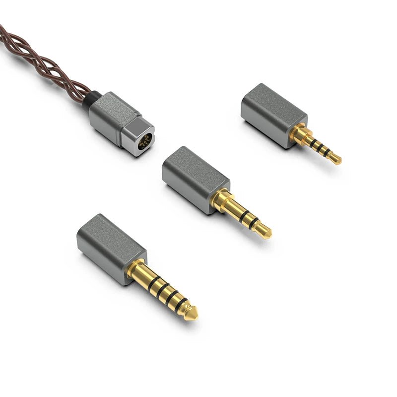 Fiio LF - RB MMCX Upgrade Earphone Cable with 2.5/3.5/4.4mm - The HiFi Cat