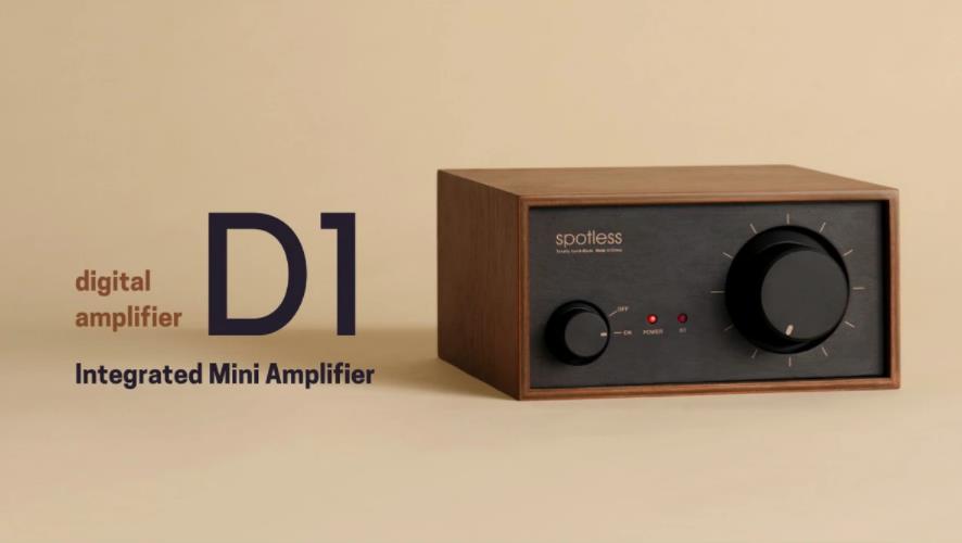 Hand-made Class AB Mini Integrated Amplifier: Spotless D1
