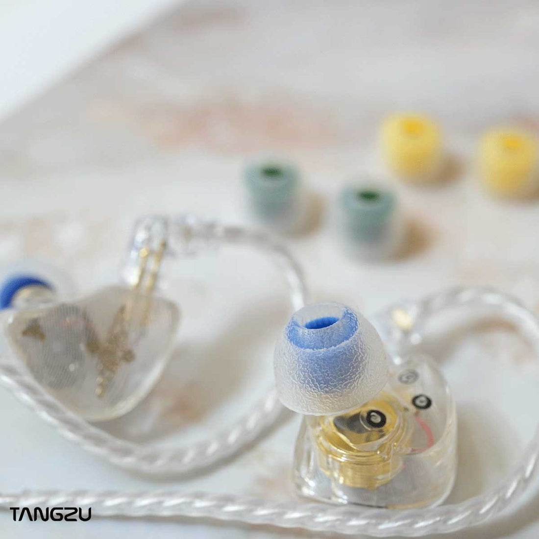 Elevate Your Listening Experience with Tangzu Tang Sancai Eartips - The HiFi Cat