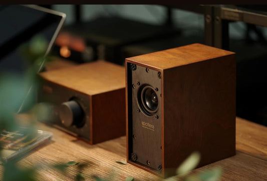 Handmade boutique: Spotless Seed 2.1 Mini Bookshelf Speaker - The HiFi Cat