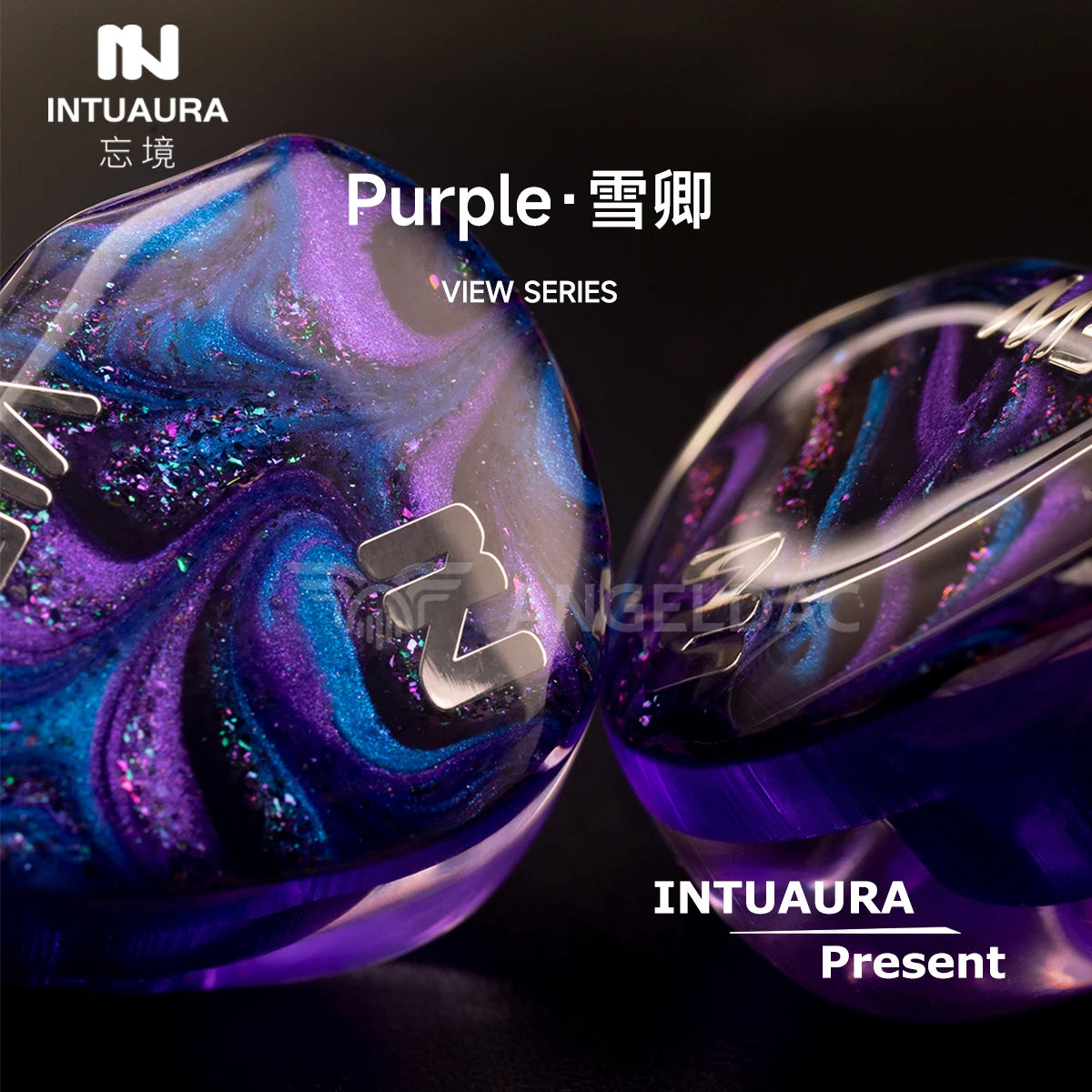 INTUAURA Purple Dynamic Driver Unit In-Ear Monitors Earphone A.W .C.T IEMS - The HiFi Cat