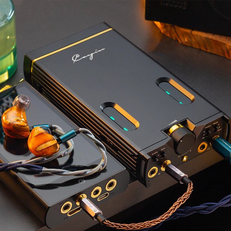 Cayin C9ii Class A Tube Solid - state Hybrid Portable Headphone Amplifier - The HiFi Cat