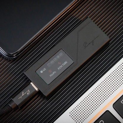 Cayin RU3 Portable USB DAC/ Headphone Amplifier Dongle - The HiFi Cat