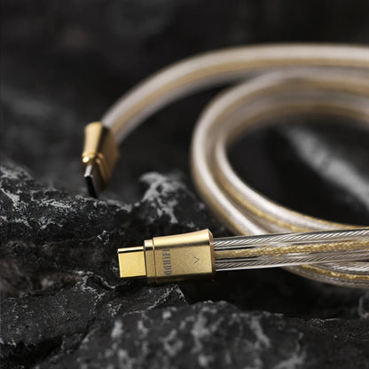 ddHiFi TC19CC Gold Comet Gold | Pure Silver USB-C Digital Cable ddHiFi TC19CC Gold Comet Gold | Pure Silver USB-C Digital Cable