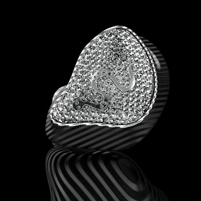 EarAcoustic Audio SPA - Limited Edition HiFi Earphones - The HiFi Cat
