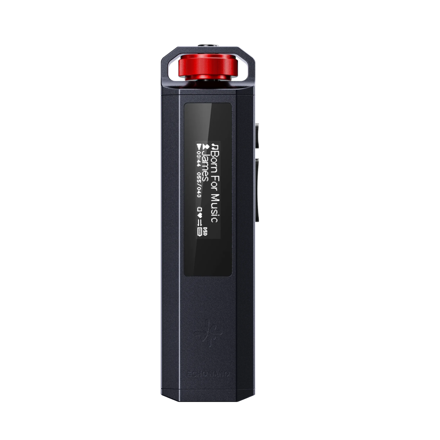 FiiO ECHO NANO Portable HiFi MP3 Player | CS43131 DAC | USB DAC | DSD256 - The HiFi Cat