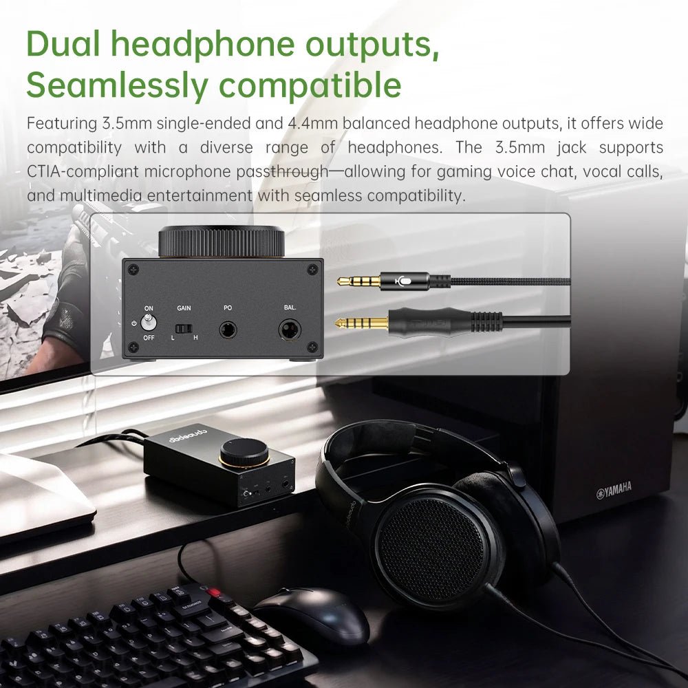 FiiO GIGAS1 Desktop Headphone Amplifier — Class AB Discrete Transistor - The HiFi Cat
