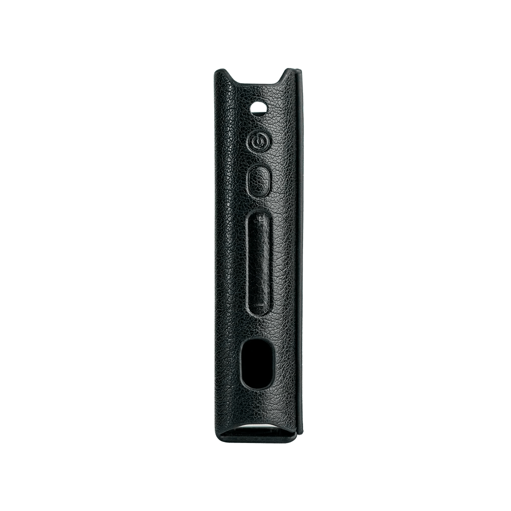 FiiO SK - BTR15 Leather Case for BTR15 DAC AMP - The HiFi Cat