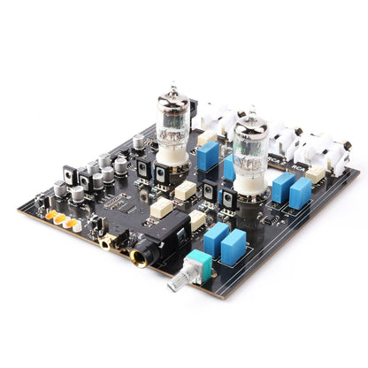 FX - Audio TUBE - 02 PRO Double JAN5725W Tube Class A Headphone Amplifier AMP - The HiFi Cat