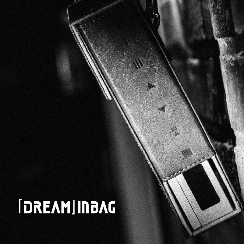 MOONDROP [DREAM] INBAG Protective Case for Discdream 2 Series - The HiFi Cat