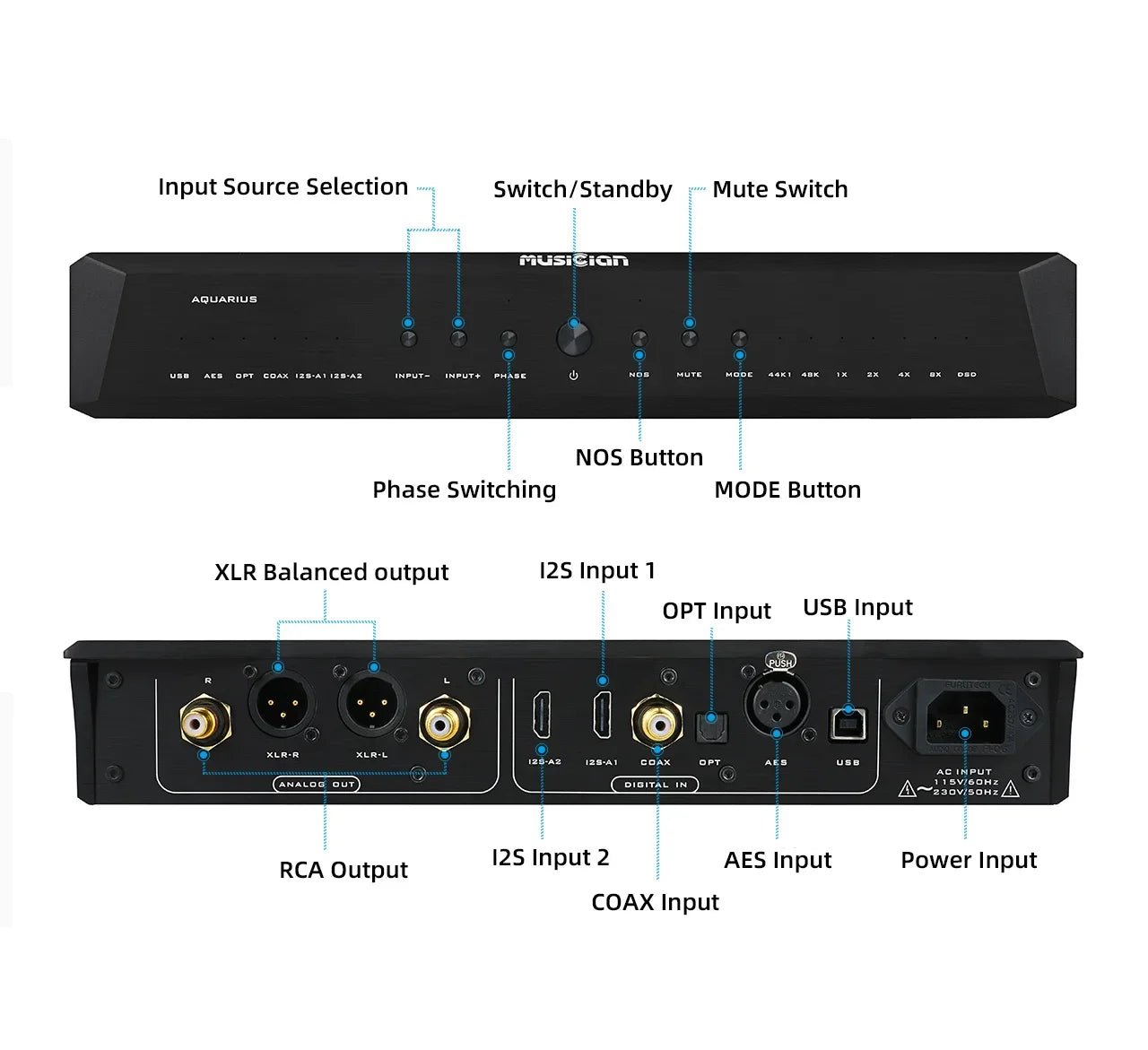 MUSICIAN Aquarius R2R Array RCA XLR Balanced Output Digital Audio DAC - The HiFi Cat