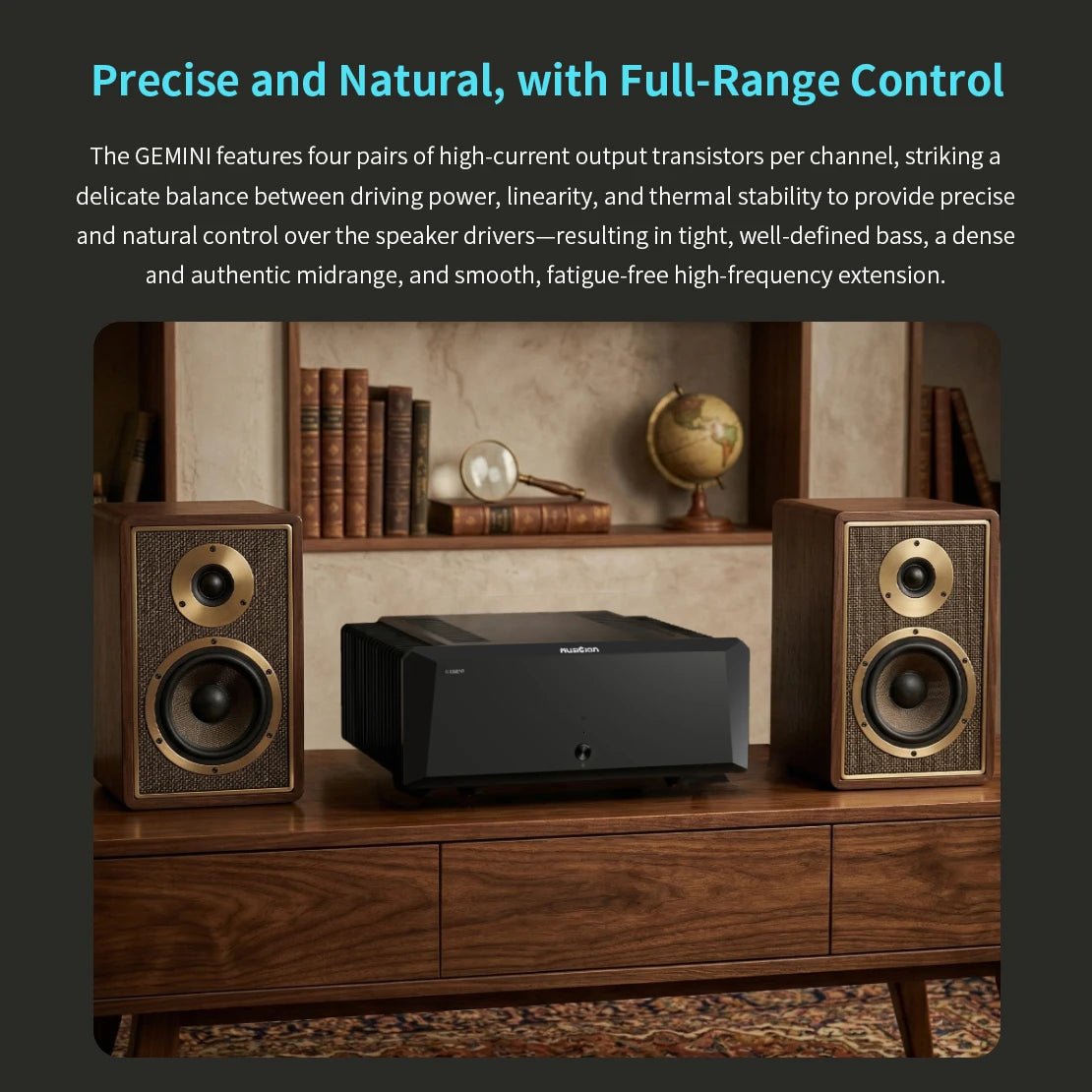 MUSICIAN GEMINI Hifi Power Amplifier | Class AB | Balanced XLR - The HiFi Cat