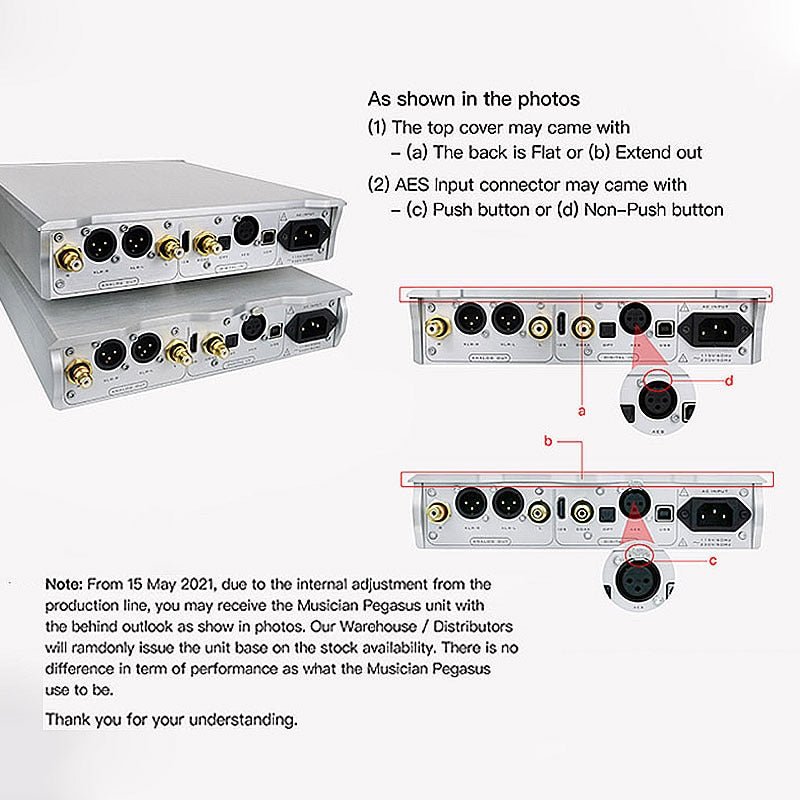 MUSICIAN PEGASUS R2R DSD Balanced Resistance DAC - The HiFi Cat