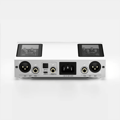 S.M.S.L R100 R2R High-Resolution Audio DAC | AD1861-J | Web PEQ | DSD256 - The HiFi Cat