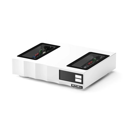 S.M.S.L R100 R2R High-Resolution Audio DAC | AD1861-J | Web PEQ | DSD256 - The HiFi Cat
