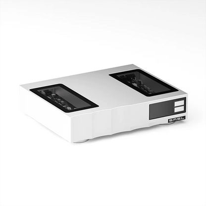S.M.S.L R100 R2R High-Resolution Audio DAC | AD1861-J | Web PEQ | DSD256 - The HiFi Cat