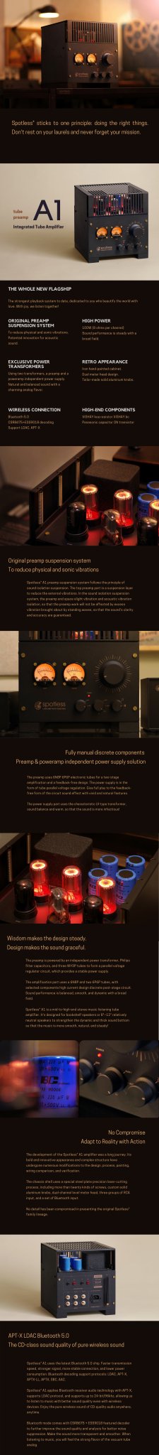 Spotless A1 2*100W Class AB Integrated Tube Amplifier - The HiFi Cat