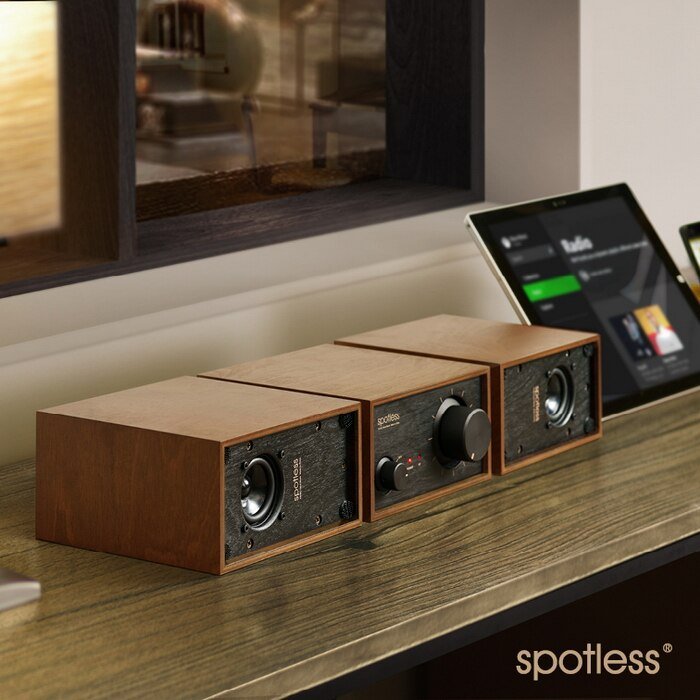 Spotless Seed 2.1 Mini Bookshelf Speaker - The HiFi Cat