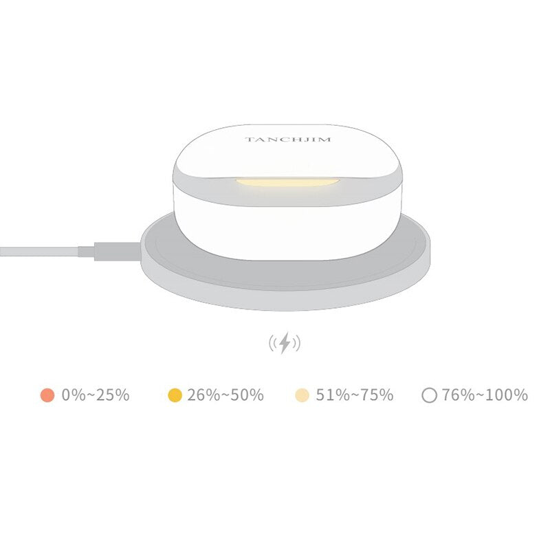 TANCHJIM ECHO TWS Earphones QCC3040 Bluetooth 5.2 APTX/APTX Adaptive/AAC/SBC IPX4 Waterproof Headphone True Wireless Earbuds - The HiFi Cat