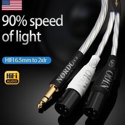 ATAUDIO Odin HiFi 6.5 to 2XLR Audio Cable High Quality Pure Silver Stereo 6.35 to Dual XLR 3Pin Shield Cable For Mixer Amplifier - The HiFi Cat